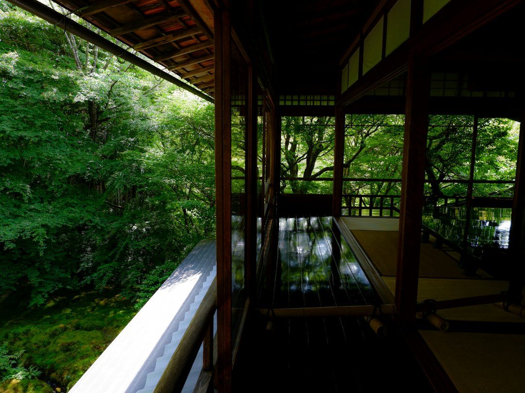 Traditional Japanese architecture overlooking a green garden