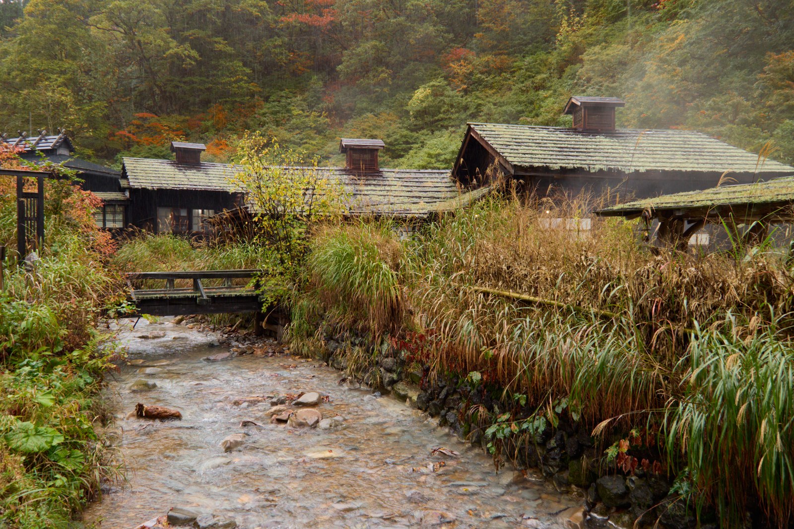 Cherry blossoms along the historic samurai district in Kakunodate